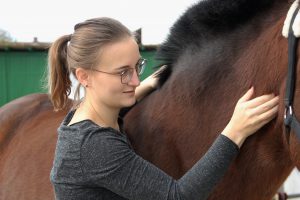 Therapie am Pferd hanna_tierphysio