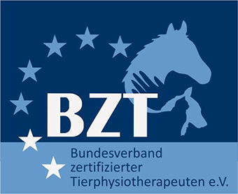 bzt_logo